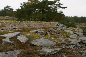 Bilde av Skjellvika - forsvarsstillinger fra 2. verdenskrig